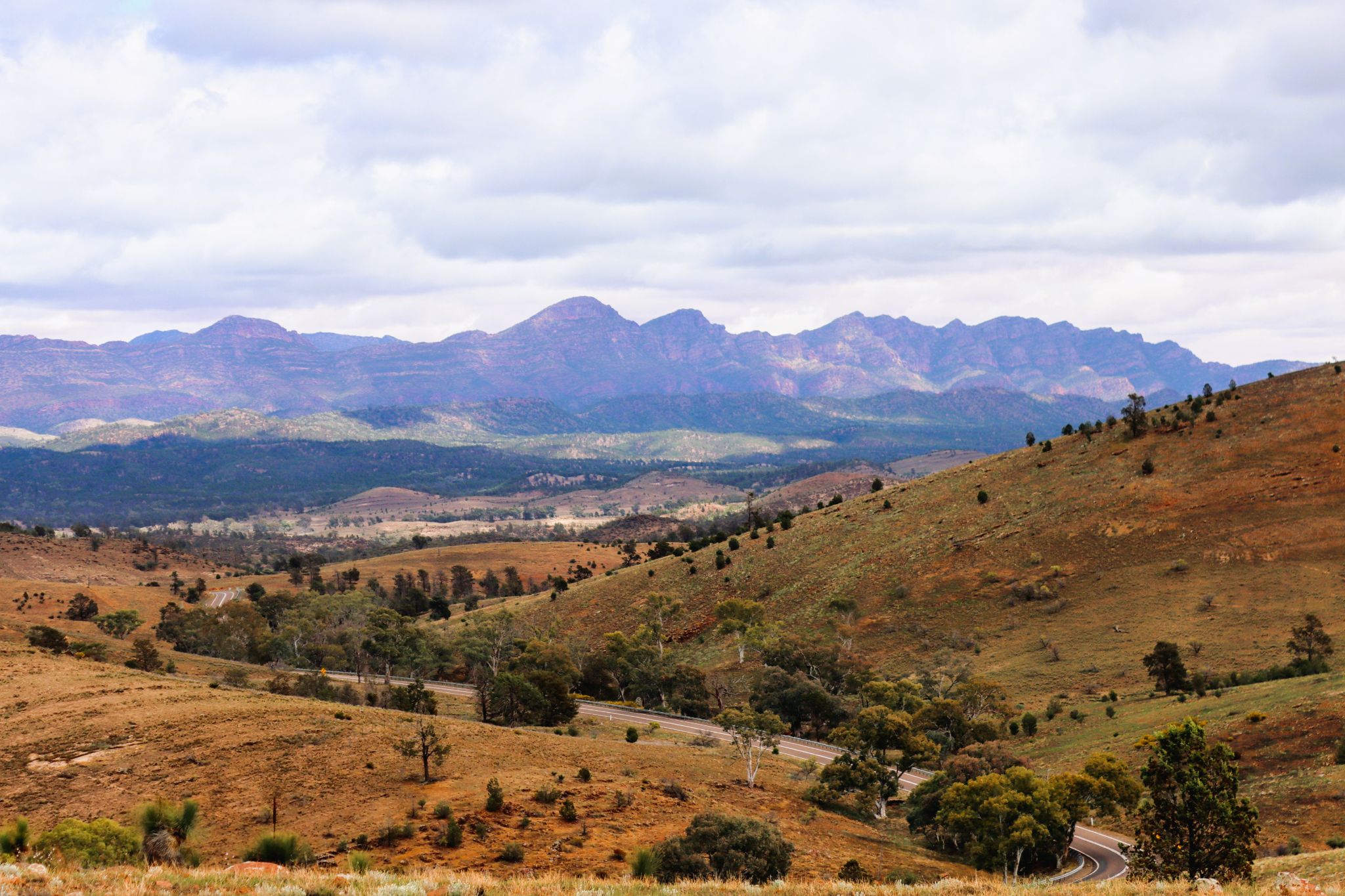 Aboriginal Berean